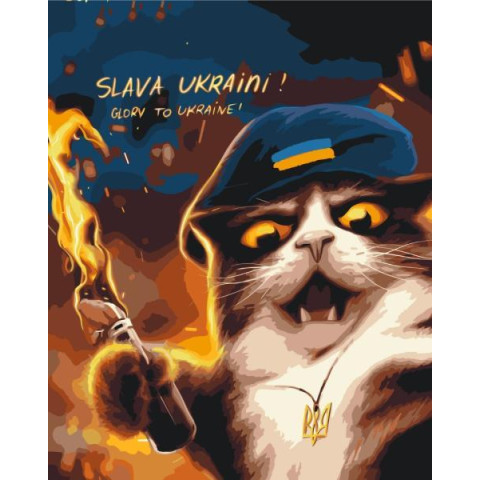 Картина по номерам Патриотическая. Котик повстанець ©Маріанна Пащук , 40х50см, в термопакете, Brushme (BS53120)