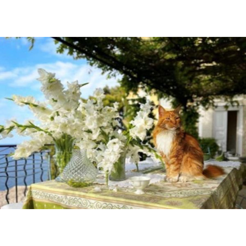 Алмазна мозаїка  Тварини. Рудий красень біля гладіолусів, 30х40см, полотно на підрамнику, Dreamtoys (Y0078)