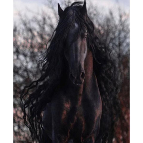 Алмазна мозаїка  Тварини. Фризький жеребець, 30х40см, полотно на підрамнику, Dreamtoys (Y0101)