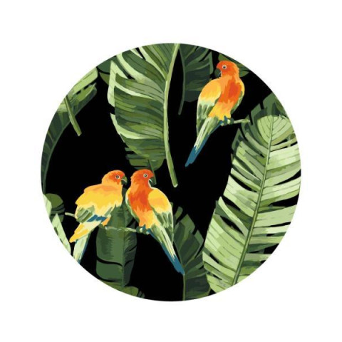Картина по номерам Птицы. Попугаи в тропиках (Размер M), Круглый подрамник, d30см, термопакет, Brushme (RC00018M)