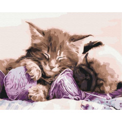 Картина за номерами Птахи. Бабусині улюбленці, 40х50см, термопакет, Brushme (BS31170)