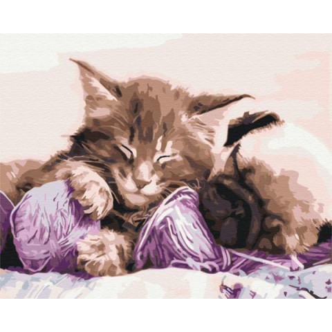 Картина за номерами Птахи. Бабусині улюбленці, 40х50см, термопакет, Brushme (BS31170)