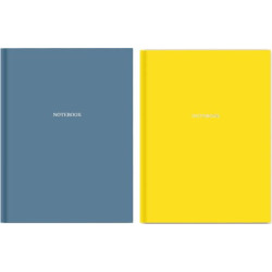 Книга ділова premium А5 96 листів клітка Pantone-2 22*15см