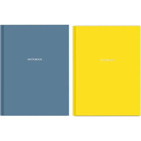 Книга ділова premium А5 96 листів клітка Pantone-2 22*15см