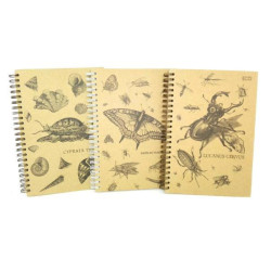 Блокнот "Insects", бік. пружина, А5, 50л, Еко папір, ТМ Колорит, Україна, арт: БН-030-МВ