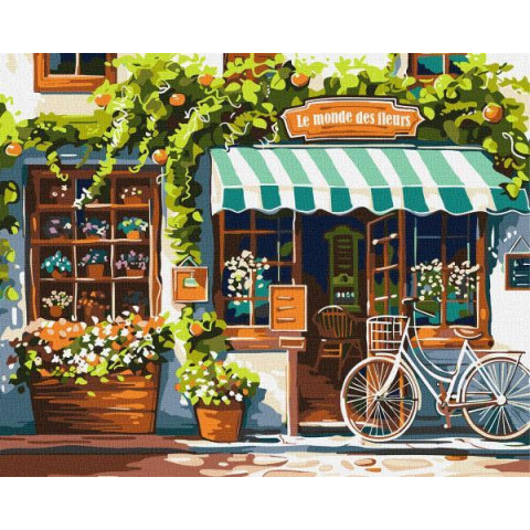 Картина по номерам Города. Мир цветов, 40х50см, в термопакете, Идейка (KHO3650)