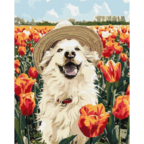 Картина за номерами Тварини. Щасливі лабрадор, 40х50см, в термопакеті, Идейка (KHO6623)