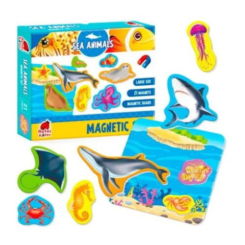 Магнітний набір Magnetic set 