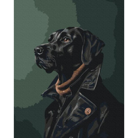 Картина по номерам Животные. Джентльмен в тренче, 40х50см, в термопакете, Brushme (BS53932)