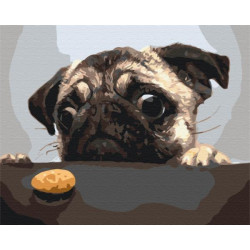 Картина за номерами Тварини. Мопсік, 40х50см, в термопакеті, Brushme (BS8765)