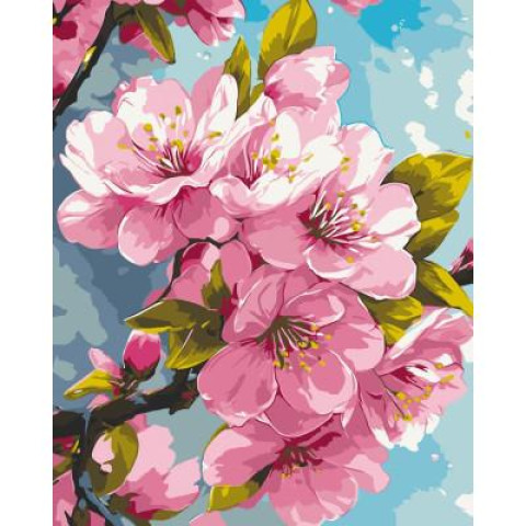 Картина по номерам Цветы. Цвет сакуры, 40х50см, в термопакете, ART Craft (13099-AC)