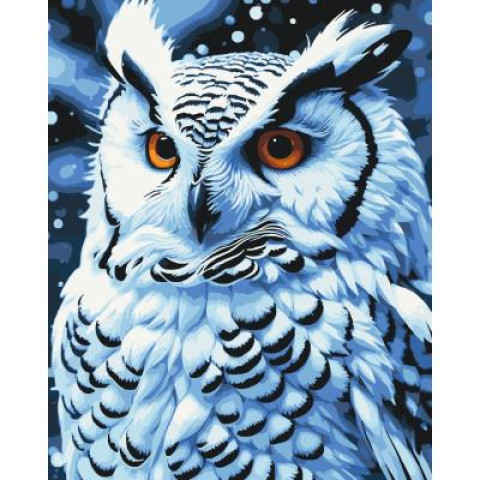 Картина за номерами Птахи. Нічний птах, 40х50см, в термопакеті, ART Craft (11562-AC)