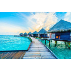 Алмазна мозаїка "Тропічний рай", 30*40см, ТМ Dreamtoys, арт: S20035