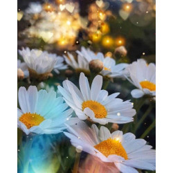 Алмазна мозаїка "Ромашкова ніжність", 30*40см, ТМ Dreamtoys, арт: S20039