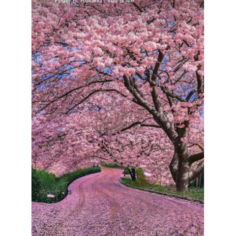 Алмазна мозаїка 