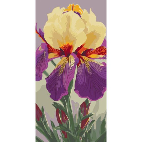 Картина за номерами Квіти. Ірис Карнівал Каперс, 40х80см, в термопакеті, ART Craft (13095-AC)