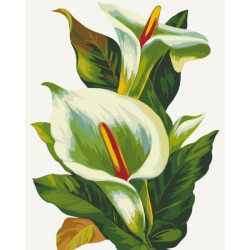 Картина по номерам "Белые каллы" лак 40*50см, термопакет, ТМ ART Craft, Украина