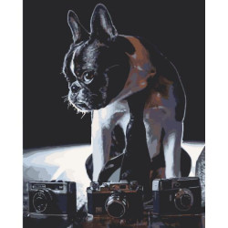 Картина по номерам "Стеснительний фотограф" лак 40*50см, термопакет, ТМ ART Craft, Украина