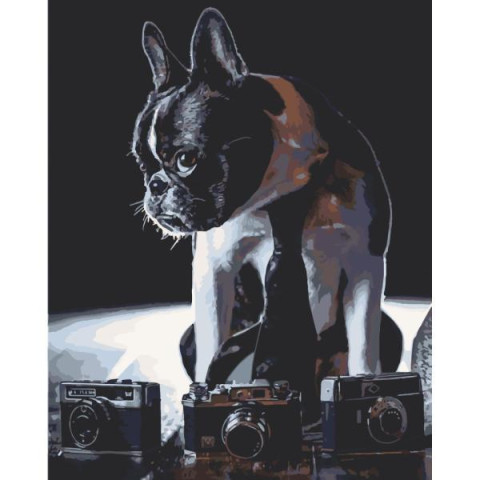 Картина по номерам 