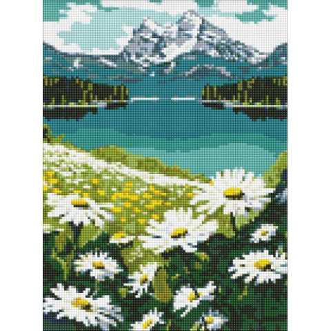 Алмазна мозаїка "Квітучі ромашки" 30х40см, термопакет, ТМ Ідейка, Україна арт: AMO7803