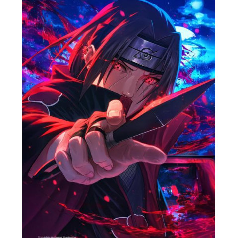 Алмазна мозаїка "Вогняна рішучість", 30*40см, на рамці, в кор. 31*41*2,5см, ТМ Dreamtoys арт: S20160