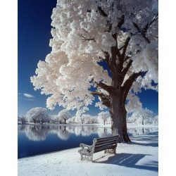 Алмазна мозаїка &quot;Біла магія&quot;, 30*40см, на рамці, в кор. 31*41*2,5см, ТМ Dreamtoys арт: S20193