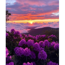 Алмазная мозаика "Фиолетовые цветы в горах", 30*40см, на рамке, в кор. 31*41*2,5см, ТМ Dreamtoys