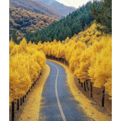 Алмазна мозаїка &quot;Осіння дорога&quot;, 30*40 см, на рамці, в кор. 31*41*2,5 см, ТМ Dreamtoys арт: S20241
