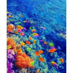 Алмазна мозаїка &quot;Яскравий риф&quot;, 30*40см, на рамці, в кор. 31*41*2,5см, ТМ Dreamtoys арт: S20292