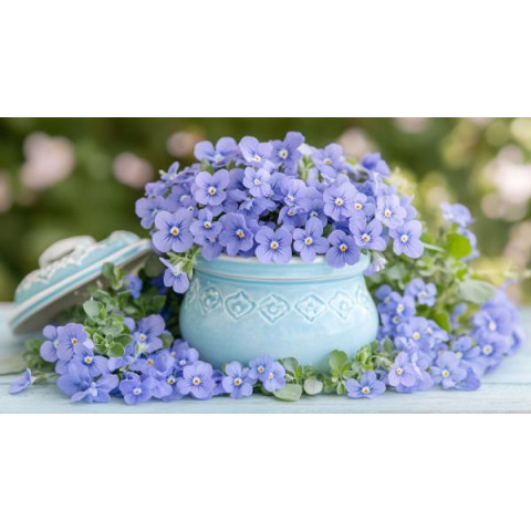 Алмазная мозаика 