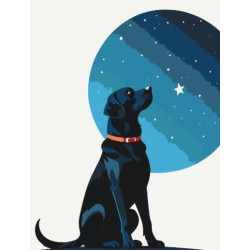 Картина по номерам "Звездный пес" лак 30*40см, термопакет, ТМ ART Craft, Украина