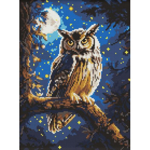 Алмазна мозаїка "Нічна сова з АВ стразами" 30x40см, термопакет,  ТМ Ідейка, Україна арт: AMO8160