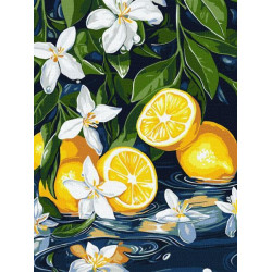 Картина по номерам "Лимон в разрезе" 30х40см, термопакет, ТМ Идейка, Украина