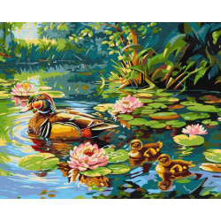 Картина по номерам "Утиное семейство" 40х50см, термопакет, ТМ Идейка, Украина