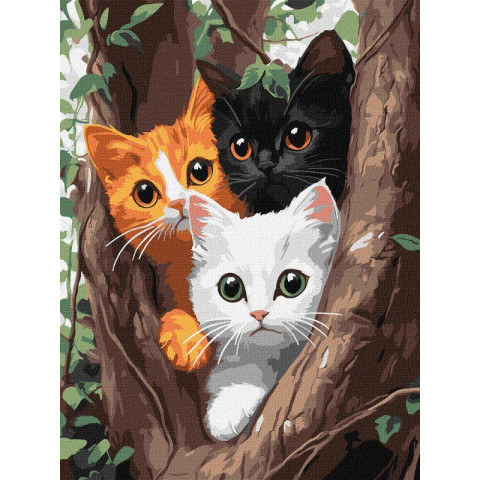 Картина по номерам 