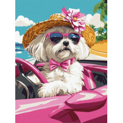 Картина по номерам "Розовая машина" 30х40см, термопакет, ТМ Идейка, Украина