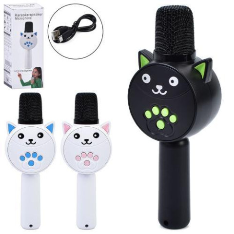 Мікрофон 20см, акумулятор, Bluetooth, FM, MP3, TFслот, USBзарядне, 3 кольори, в кор. 8*20,5*5,5см   арт: MC811