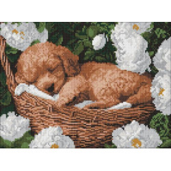 Алмазна мозаїка &quot;Сплячий пудель&quot; 30x40см, термопакет, ТМ Ідейка, Україна арт: AMO8170