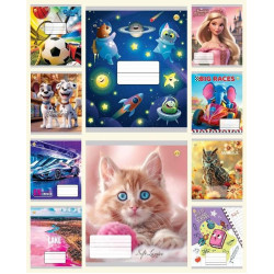 Тетрадь 12 л. # цвет.обложка, ЦЕНА ЗА УП. 25ШТ, ТМ Тетрада, Украина