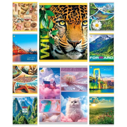 Зошит 60 арк. клітинка кольорова обкладинка, ЦІНА ЗА УП. 10ШТ, ТМ Тетрада, Україна арт: ТА51600