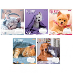 Тетрадь 12л линия Be cute, ЦЕНА ЗА УП. 25ШТ., ТМ 1Вересня, Украина