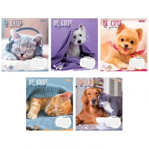 Тетрадь 12л линия Be cute, ЦЕНА ЗА УП. 25ШТ., ТМ 1Вересня, Украина