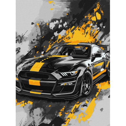 Картина за номерами "Спортивний стиль" 30*40см, термопакет, ТМ Ідейка, Україна арт: KHO5155