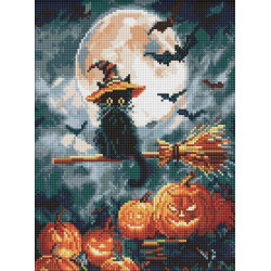 Алмазная мозаика "Маленький колдун" 30х40см, термопакет, ТМ Идейка, Украин