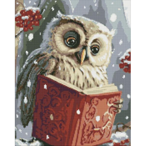 Алмазна мозаїка "Розумна совушка" з АВ стразами 40х50см, термопакет, ТМ Ідейка, Україна арт: AMO7816