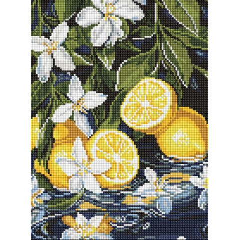 Алмазна мозаїка "Лимони в розрізі" 30х40см, термопакет, ТМ Ідейка, Україна арт: AMO8301