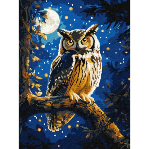 Картина за номерами "Нічна сова з фарбами металік extra" 30х40см, термопакет, ТМ Ідейка, Україна арт: KHO6681