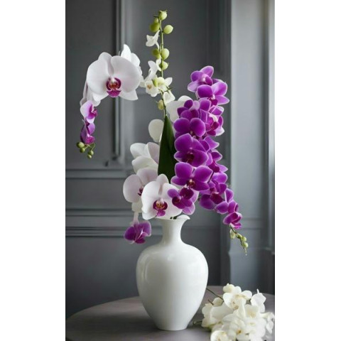 Алмазная мозаика 