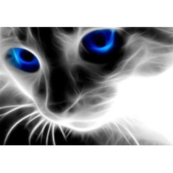 Алмазна мозаїка "Неоновий погляд", 40*50см, на підрамнику, в кор. 41*51*2,5см, ТМ Dreamtoys арт: S40093