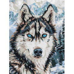 Картина за номерами "Очі півночі" 30*40см, термопакет, ТМ Ідейка, Україна арт: KHO6842